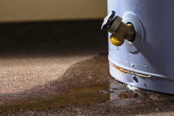 Best Carpet water damage restoration  in New Ulm, MN