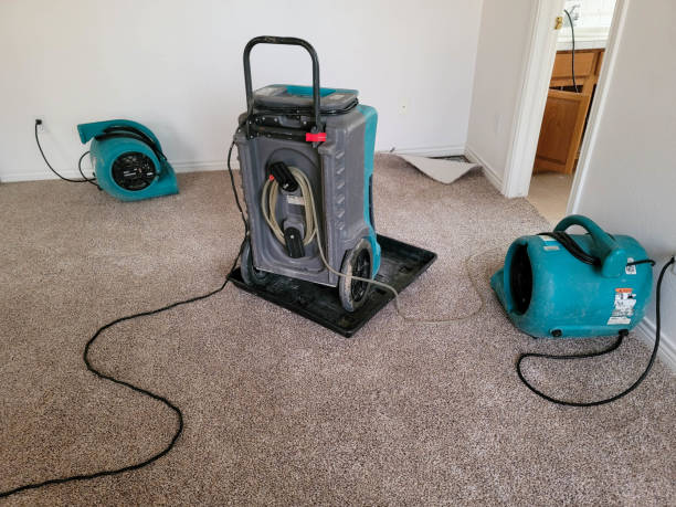Best Residential water damage restoration  in New Ulm, MN