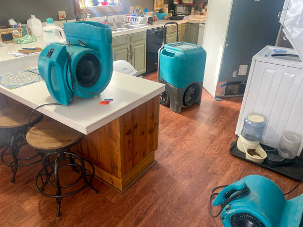 Best Mold removal after water damage  in New Ulm, MN