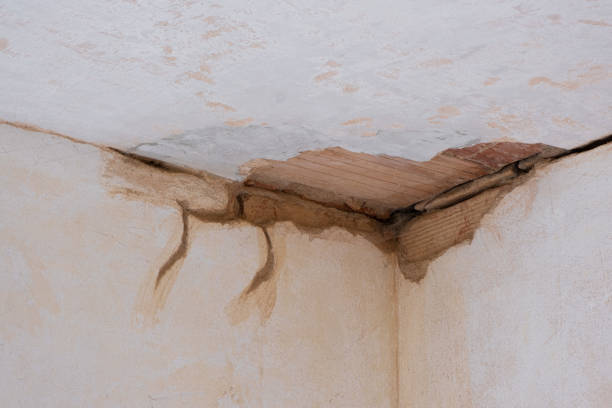Best Water damage restoration services  in New Ulm, MN