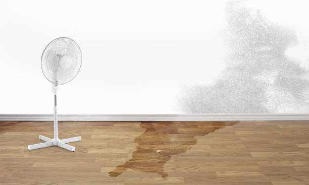 Reliable New Ulm, MN Water damage restoration Solutions