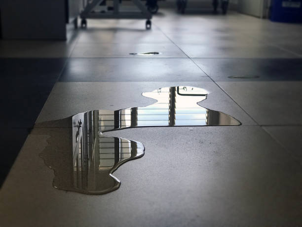 Reliable New Ulm, MN Water damage restoration Solutions