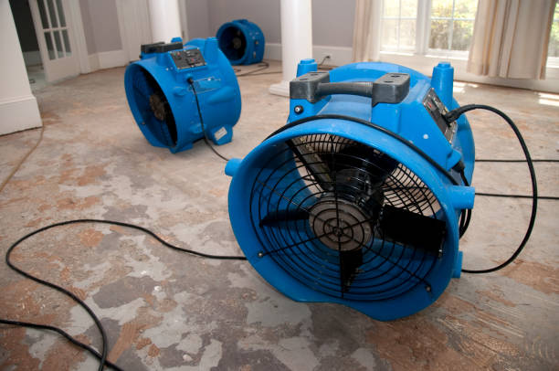 Best Carpet water damage restoration  in New Ulm, MN
