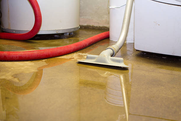 Best Water damage cleanup near me  in New Ulm, MN