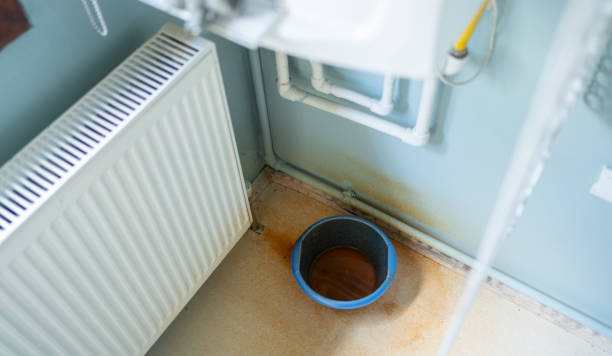 Best Mold removal after water damage  in New Ulm, MN
