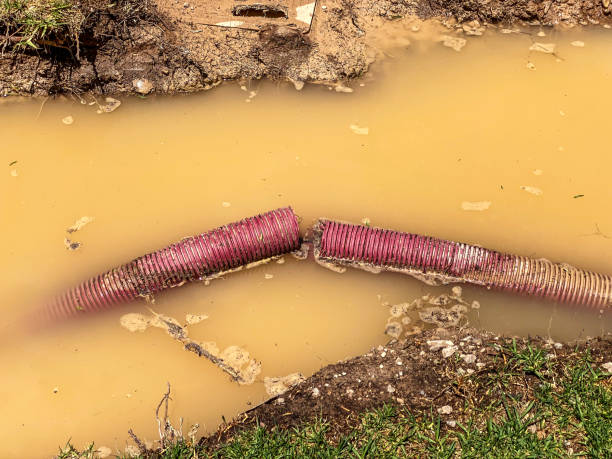Water damage restoration process in New Ulm, MN