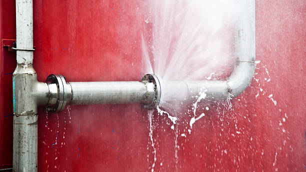 Best Ceiling water damage repair  in New Ulm, MN