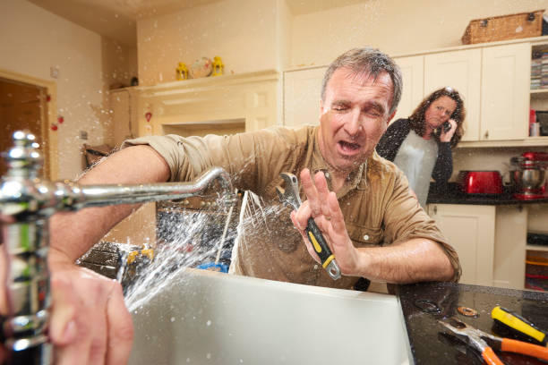 Best Fire Damage Restoration  in New Ulm, MN